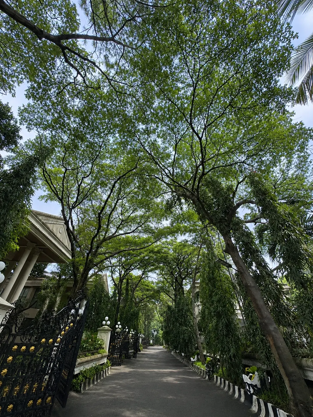 Outdoor Environment