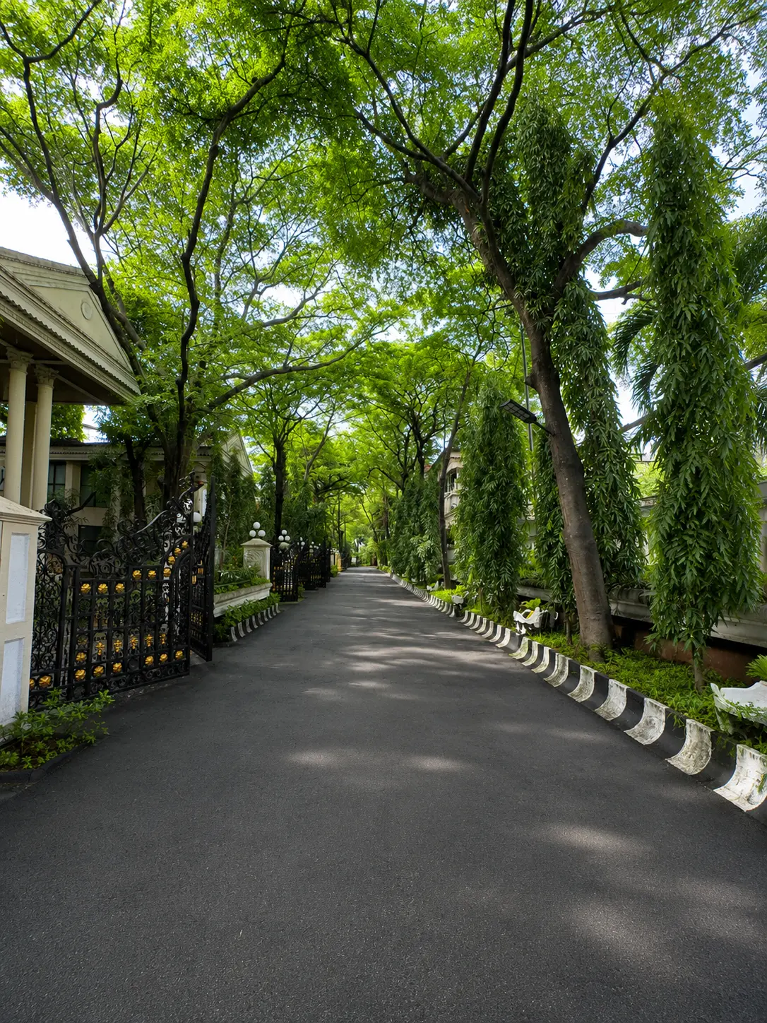 Outdoor Environment view 2