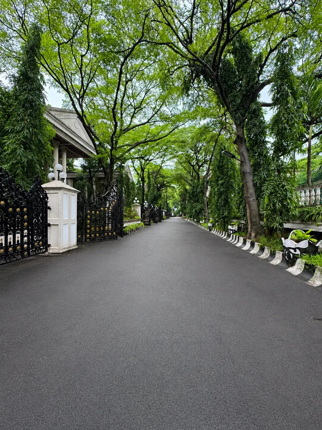 Outdoor Environment view 4